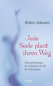 Robert Schwartz - Jede Seele plant ihren Weg